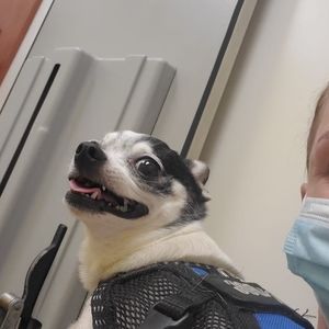 Meet your Posher, Faith